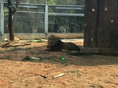 -昆明动物园
