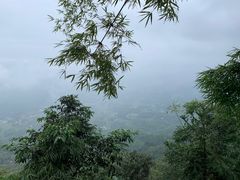-蜀南竹海景区