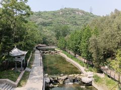 -白水寺森林公园