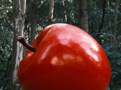 -深圳国际园林花卉博览园