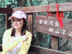 -七仙岭温泉国家森林公园