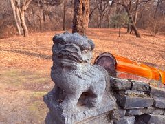 -沈阳市东陵公园