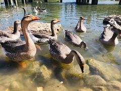 -鄂尔多斯野生动物园