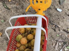 -汉口江滩-江滩观星台