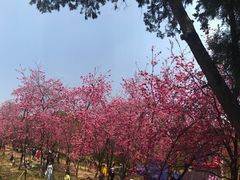 -昆明动物园