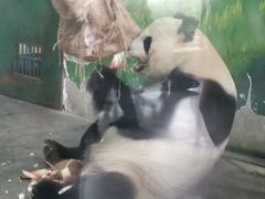 -无锡动物园·太湖欢乐园