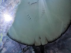 -绍兴梦享海洋公园