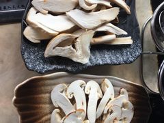 -蘑统田下·野生菌火锅