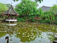 -上海醉白池公园