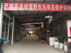 -中环花鸟鱼虫市场