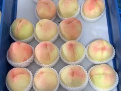 -老袁家蜜桃农场·阳山水蜜桃