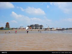 DSC_9909-上海棕榈滩海景酒店