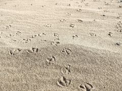 -中影国际影城(东方新天地CINITY店)