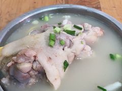 -胖娃滋补蹄花