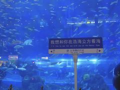 -成都浩海立方海洋公园