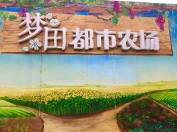 -梦田都市农场(银泰城店)