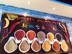 -新概念来凤鱼(璧山店)