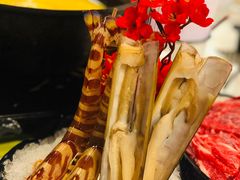 -鲜入围煮花胶鸡海鲜火锅