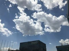 -皇家美孚(麦岛店)