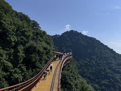 -少华山国家森林公园