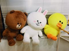 -line friends(明洞旗舰店)