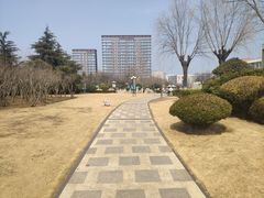 -丁家河公园