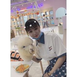 -Moni星球萌宠·小马宝莉·灵蛇·高端高阶全萌宠互动体验俱乐部(红豆国际广场店)
