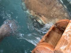 -崇阳三特浪口温泉