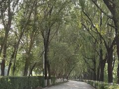 -长白岛森林公园