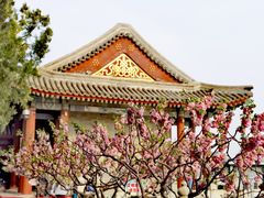 -颐和园