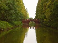 -黄海国家森林公园