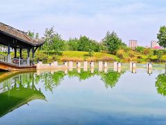 -眉山湿地公园(东坡区)
