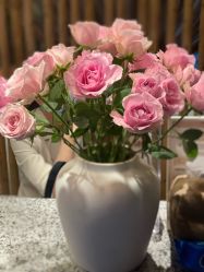 -花隐瑜伽·普拉提·红绳