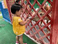 -萌宠亲子动物乐园(槐房万达店)