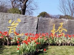-七桥瓮公园