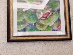 -蜀中吴养生板栗鸡(会展店)