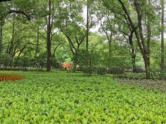 -徐家汇源景区-衡山公园