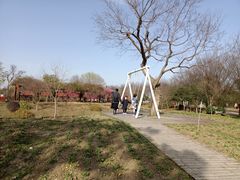 -鹅湖玫瑰文化园