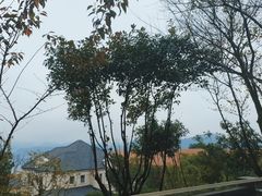 -杭州桐庐康莱德酒店西餐厅-舍