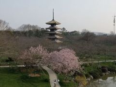 -武汉大学-樱园