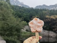 -北京凤凰岭