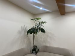 -HEYAN荷妍专业脱毛连锁机构
