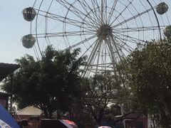 -广东花都香草世界旅游度假区