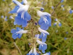 -汉长安城未央宫国家考古遗址公园