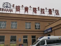 -银肯塔拉沙漠生态旅游景区