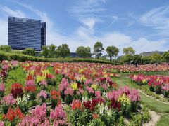 -春花秋色城市公园