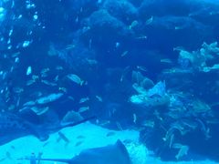 -成都浩海立方海洋公园