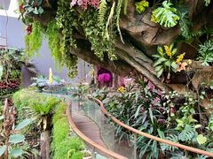 -正佳雨林生态植物园