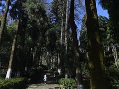 -莫干山风景区