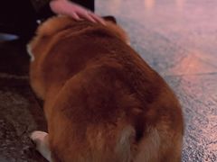 -771餐吧·咖啡·西餐·烤肉(金湖广场店)